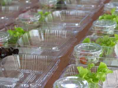 compostable resins sheet extrusion